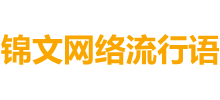 锦文网络流行语Logo