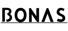 宝娜斯集团有限公司Logo