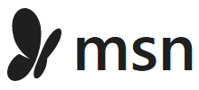 MSN 中国logo,MSN 中国标识